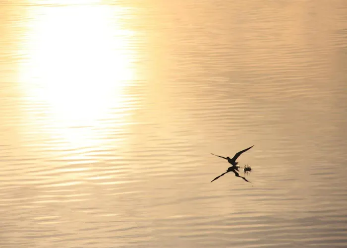 Residenz Bollwark 2 0 Фермерский дом